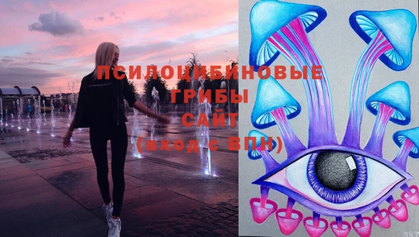 метадон Алексин