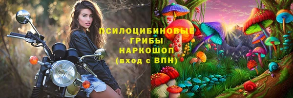 метадон Алексин