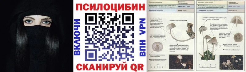 OMG онион  Анапа  нарко площадка как зайти  Псилоцибиновые грибы Psilocybine cubensis 